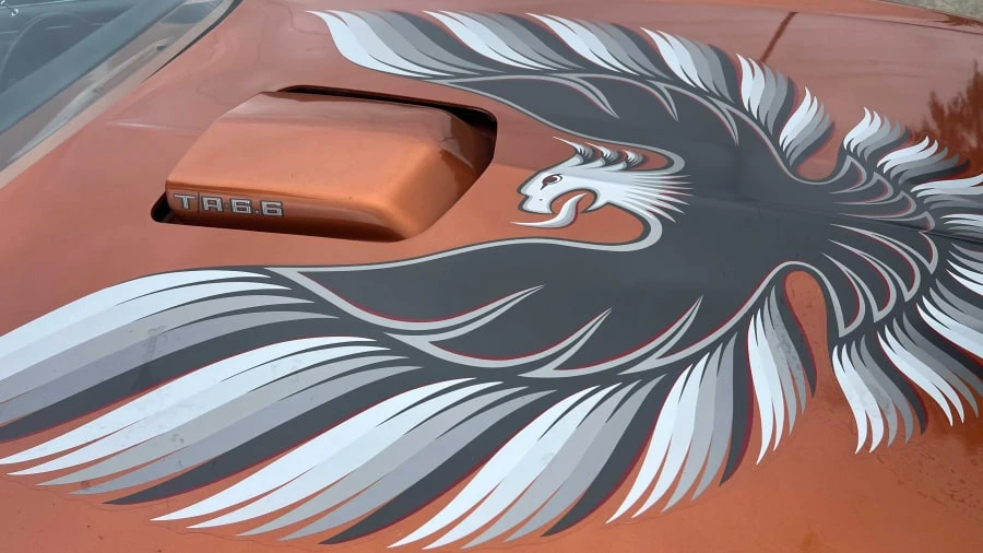 1980 Pontiac Firebird Trans Am 2nd Gen - Image 6 of 7