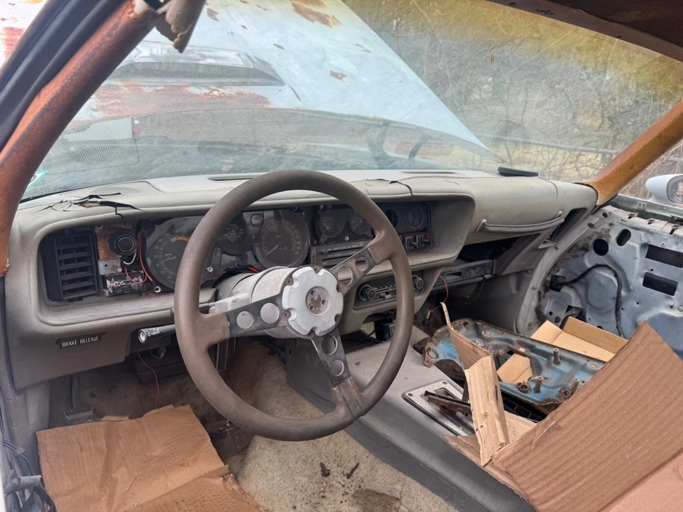 1980 Pontiac Firebird Trans Am 2nd Gen - Image 10 of 21