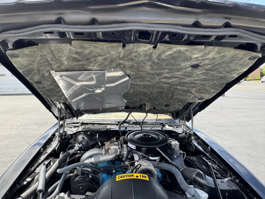 1980 Pontiac Firebird Trans Am 2nd Gen - Image 13 of 19