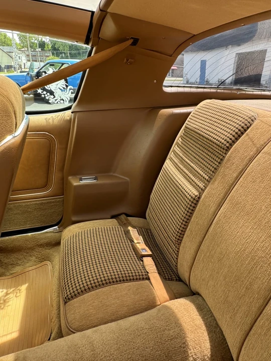 1980 Pontiac Firebird Trans Am 2nd Gen - Image 10 of 19
