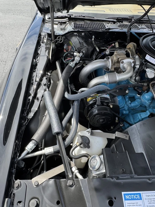 1980 Pontiac Firebird Trans Am 2nd Gen - Image 15 of 19