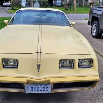 1980 Pontiac Firebird Yellowbird