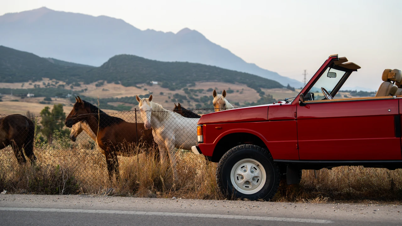 1980 Land Rover Range Rover Classic - Image 31 of 31