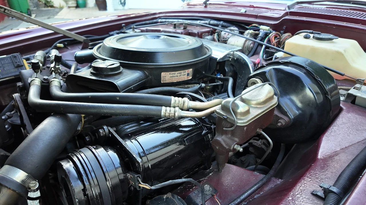 1980 Studebaker - Image 21 of 22