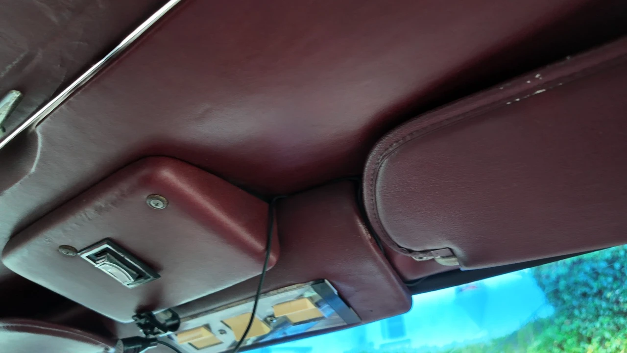1980 Studebaker - Image 15 of 22