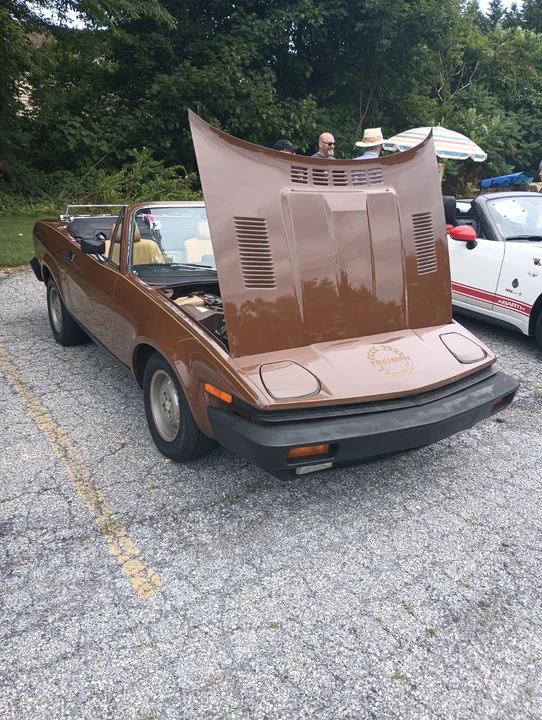 1980 Triumph TR7 - Image 4 of 30