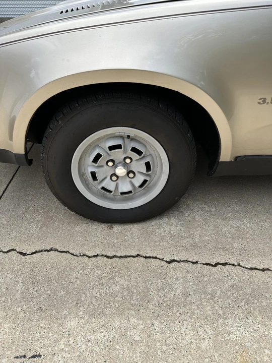 1980 Triumph TR8 - Image 29 of 31