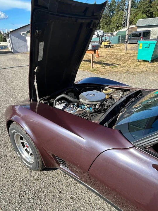 1980 Chevrolet Corvette C3 - Image 9 of 11