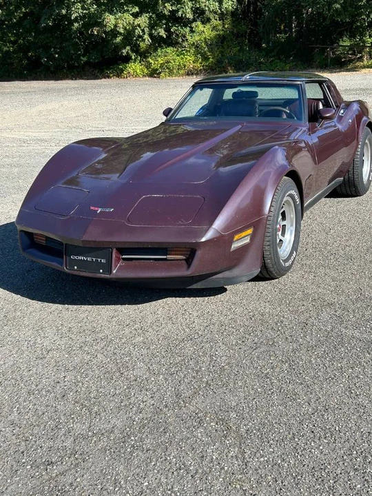 1980 Chevrolet Corvette C3 - Image 10 of 11