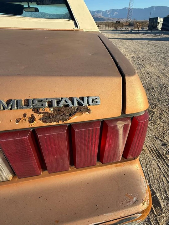 1980 Ford Mustang 3rd Gen - Image 9 of 11