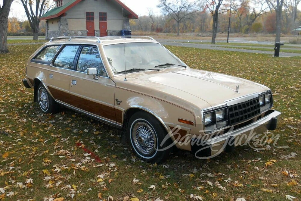 1981 AMC - Image 7 of 22