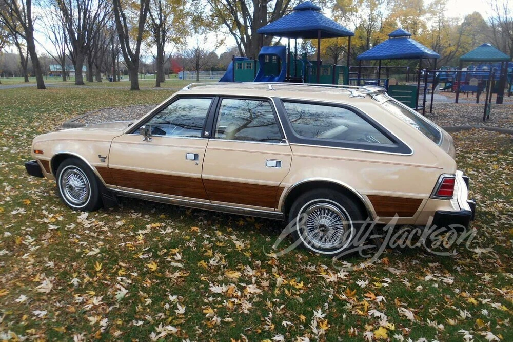 1981 AMC - Image 16 of 22
