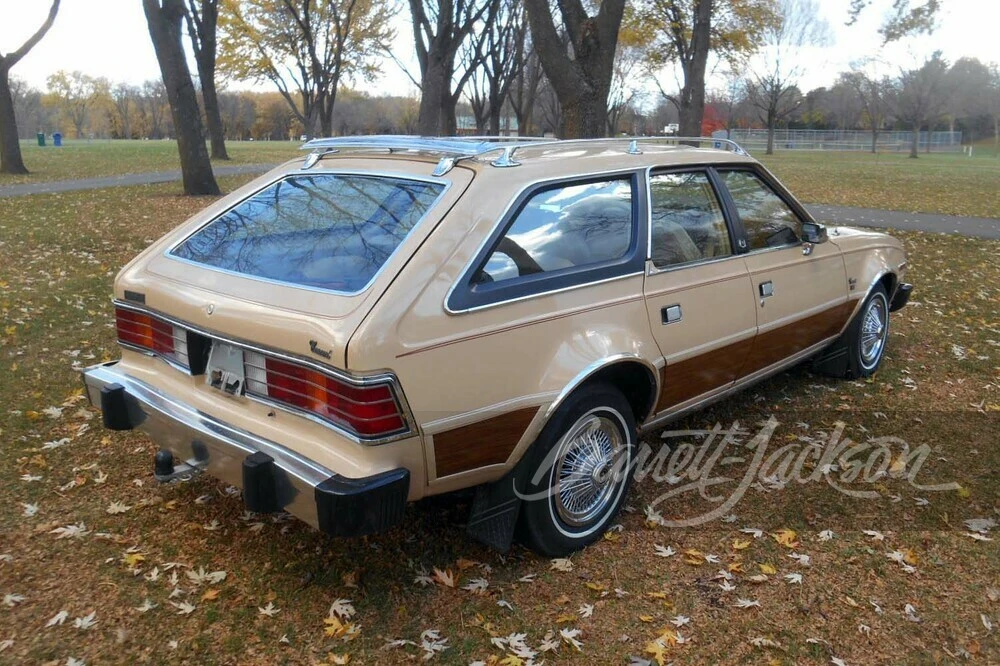 1981 AMC - Image 21 of 22