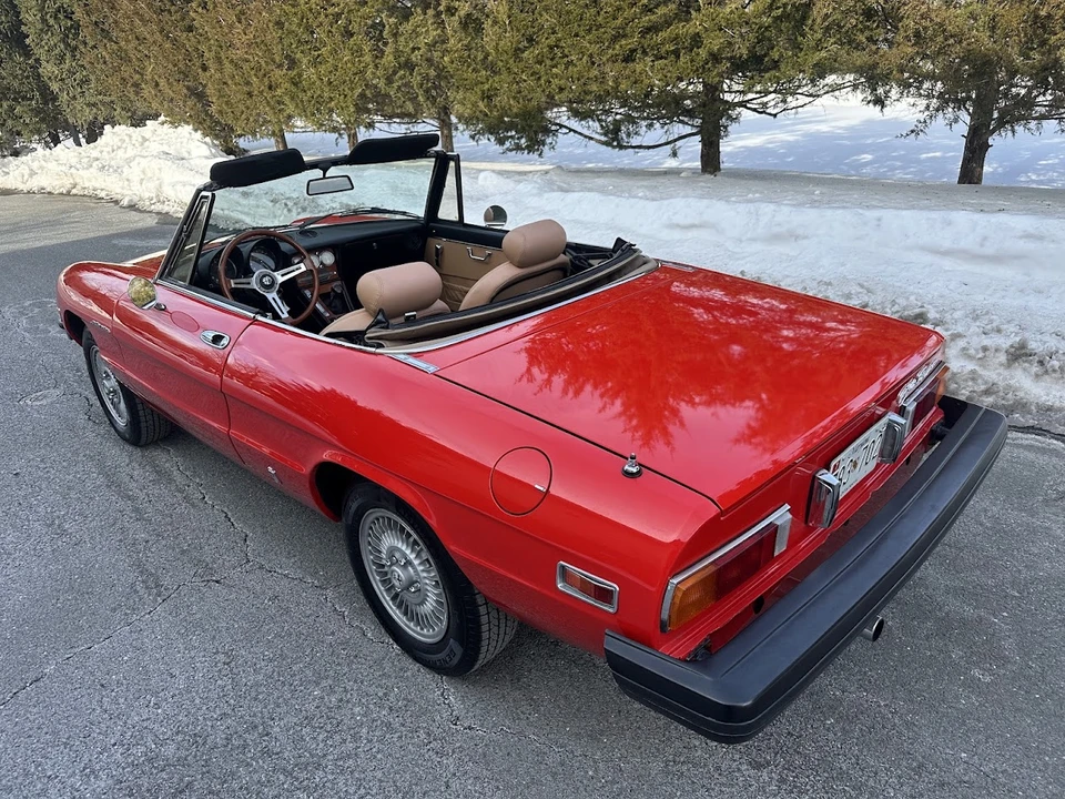 1981 Alfa Romeo Series 2 - Image 19 of 31