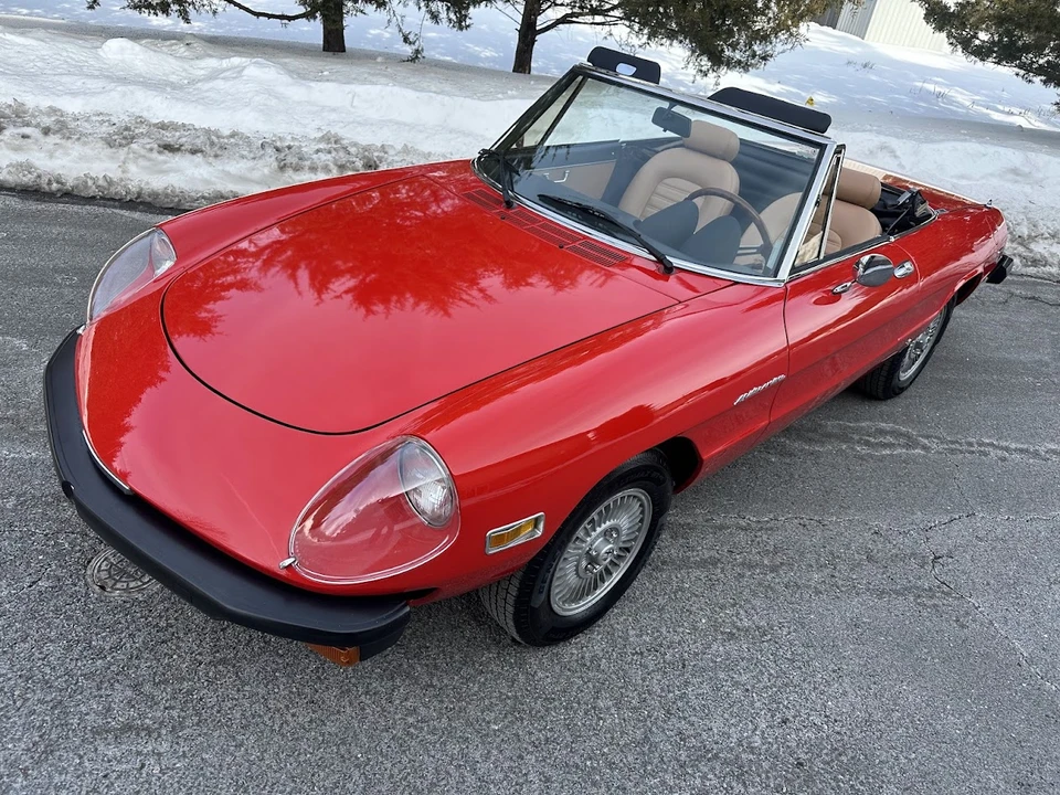 1981 Alfa Romeo Series 2 - Image 6 of 31
