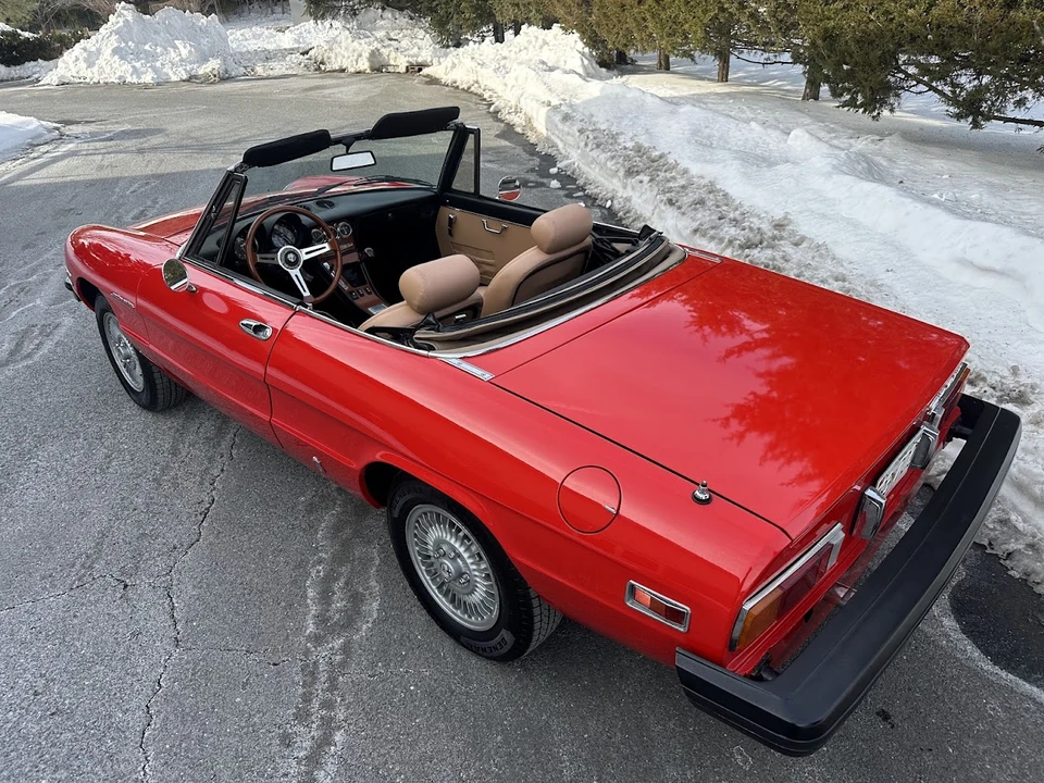 1981 Alfa Romeo Series 2 - Image 18 of 31