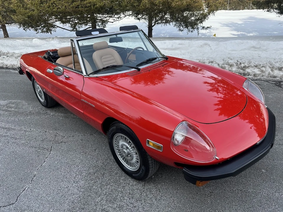 1981 Alfa Romeo Series 2 - Image 10 of 31