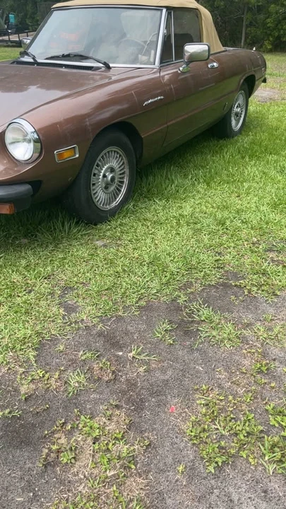 1981 Alfa Romeo Series 2 - Image 2 of 6
