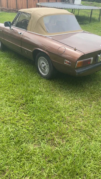 1981 Alfa Romeo Series 2 - Image 3 of 6