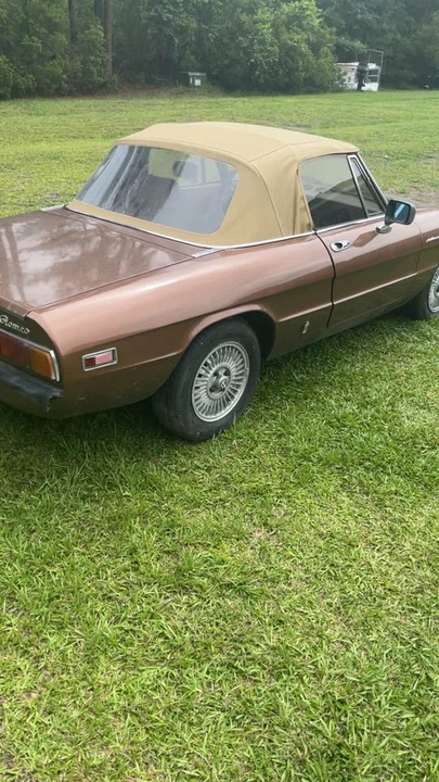 1981 Alfa Romeo Series 2 - Image 4 of 6
