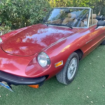1981 Alfa Romeo Spider