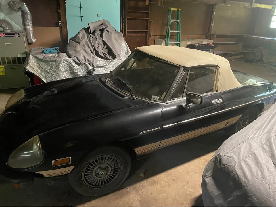 1981 Alfa Romeo Series 2 - Image 4 of 4