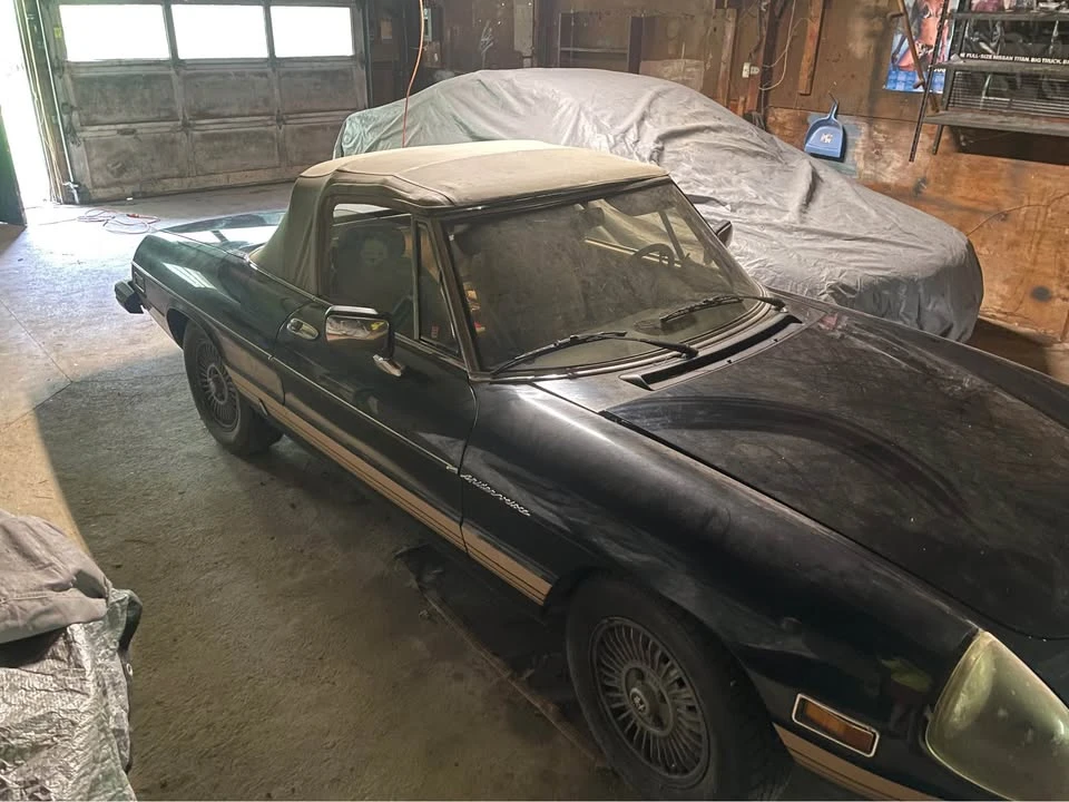 1981 Alfa Romeo Series 2 - Image 2 of 4