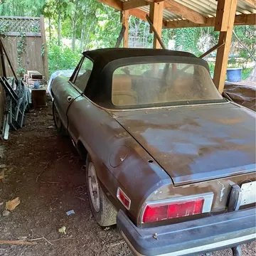 1981 Alfa Romeo Spider