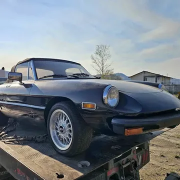 1981 Alfa Romeo Spider