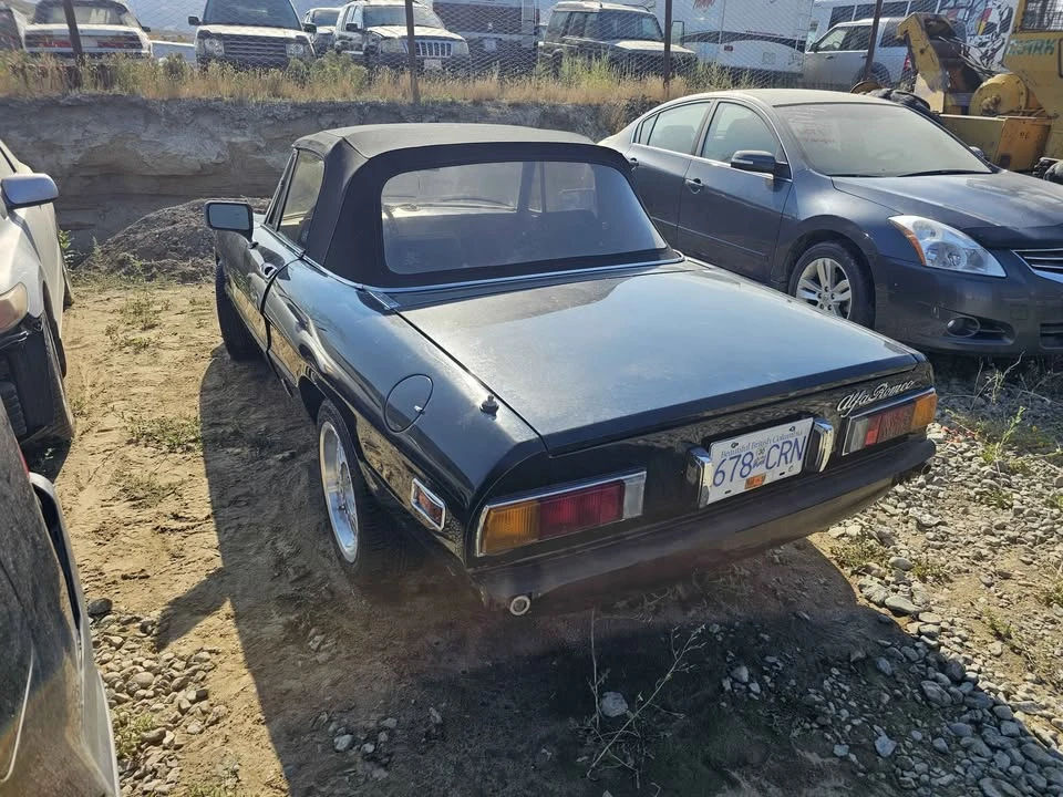 1981 Alfa Romeo Series 2 - Image 6 of 10