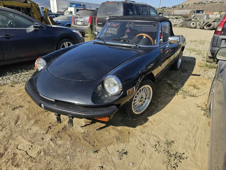 1981 Alfa Romeo Series 2 - Image 3 of 10