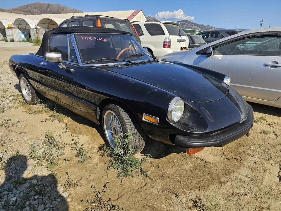 1981 Alfa Romeo Series 2 - Image 2 of 10