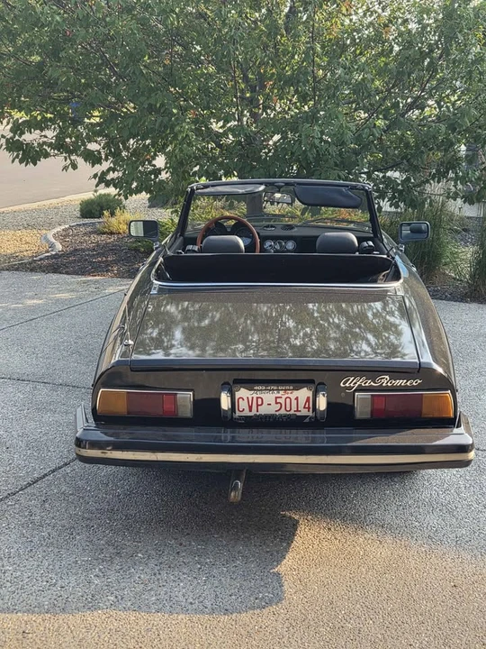 1981 Alfa Romeo Series 2 - Image 3 of 8