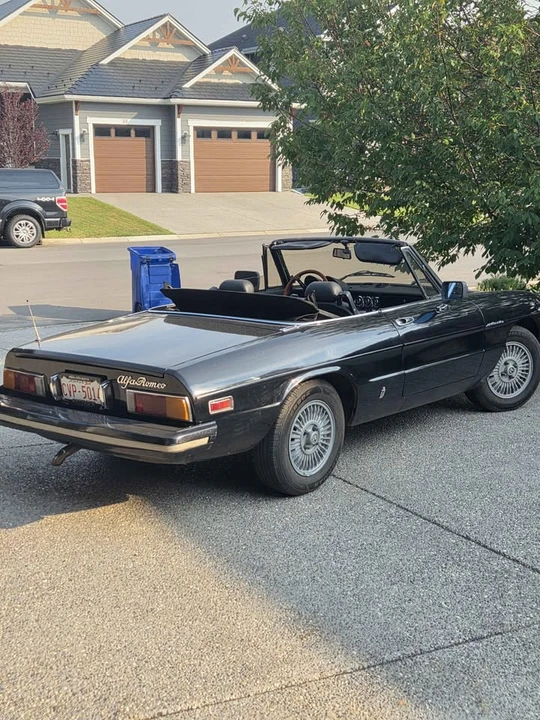 1981 Alfa Romeo Series 2 - Image 2 of 8
