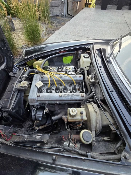 1981 Alfa Romeo Series 2 - Image 6 of 8
