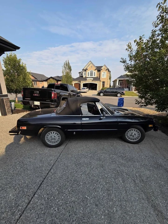 1981 Alfa Romeo Series 2 - Image 8 of 8