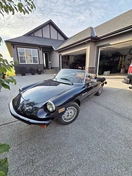 1981 Alfa Romeo Spider