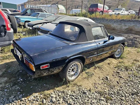 1981 Alfa Romeo Spider
