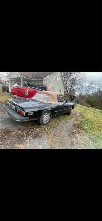 1981 Alfa Romeo Series 2 - Image 5 of 7