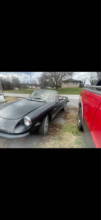1981 Alfa Romeo Series 2 - Image 2 of 7