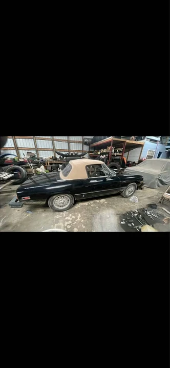 1981 Alfa Romeo Series 2 - Image 3 of 7