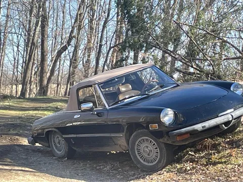 1981 Alfa Romeo Spider Veloce Convertible 2D