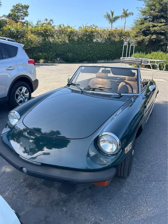 1981 Alfa Romeo Series 2 - Image 5 of 8