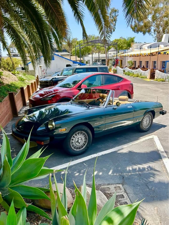 1981 Alfa Romeo Series 2 - Image 4 of 8