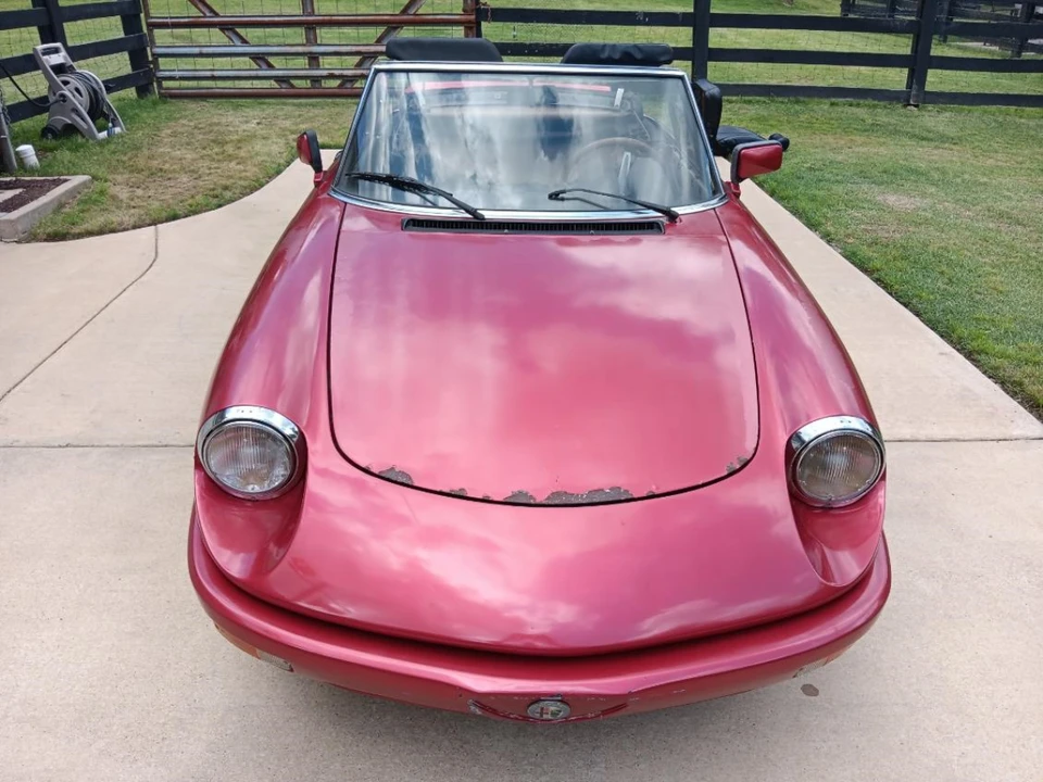 1981 Alfa Romeo Series 2 - Image 4 of 31