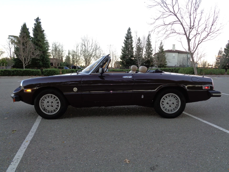 1981 Alfa Romeo Series 2 - Image 15 of 31