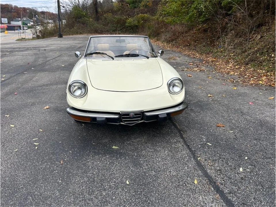 1981 Alfa Romeo Series 2 - Image 5 of 10
