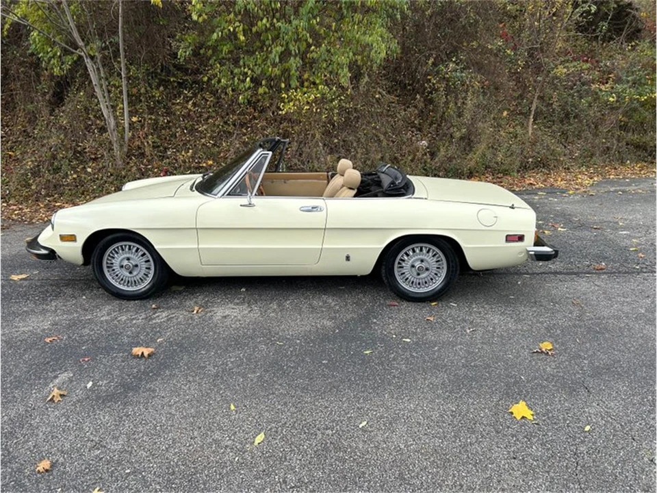 1981 Alfa Romeo Series 2 - Image 2 of 10
