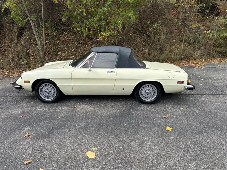 1981 Alfa Romeo Series 2 - Image 3 of 10