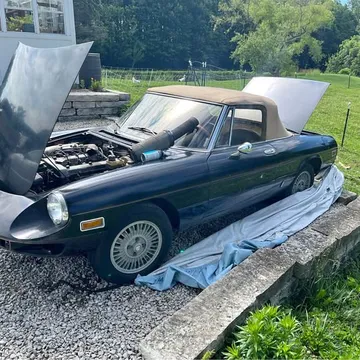 1981 Alfa Romeo Spider